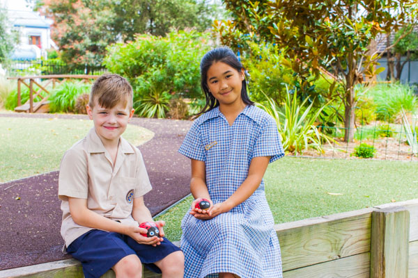 St Fiacre's Catholic Primary School Leichhardt Student Wellbeing
